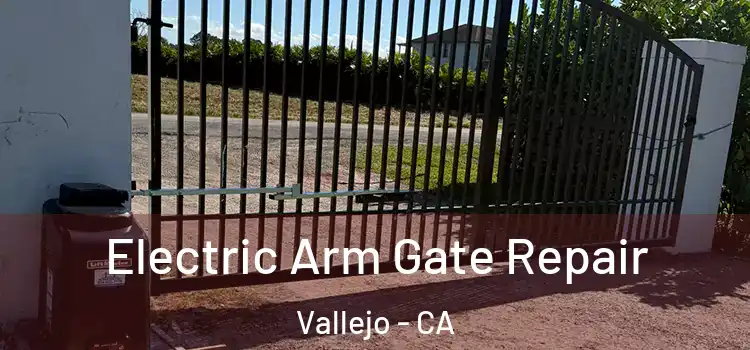 Electric Arm Gate Repair Vallejo - CA