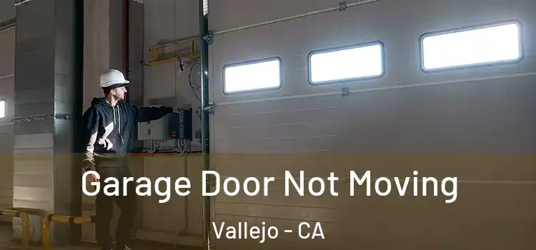  Garage Door Not Moving Vallejo - CA