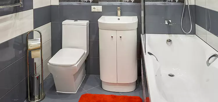 Hansgrohe Shaving Mirror Vallejo