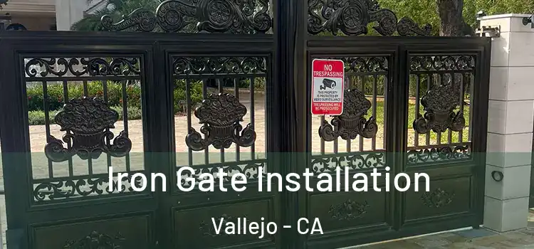 Iron Gate Installation Vallejo - CA